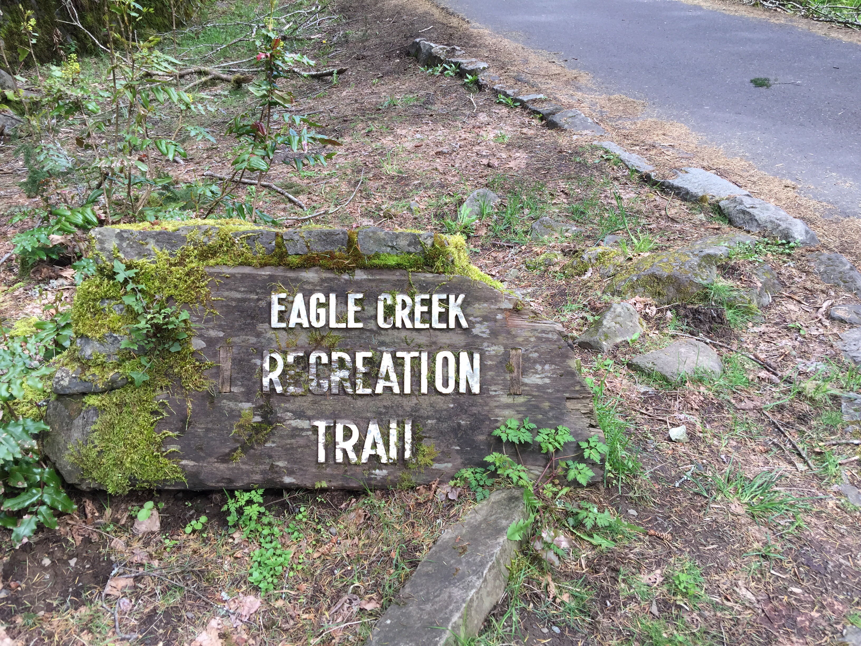 eagle creek trail. ﻿