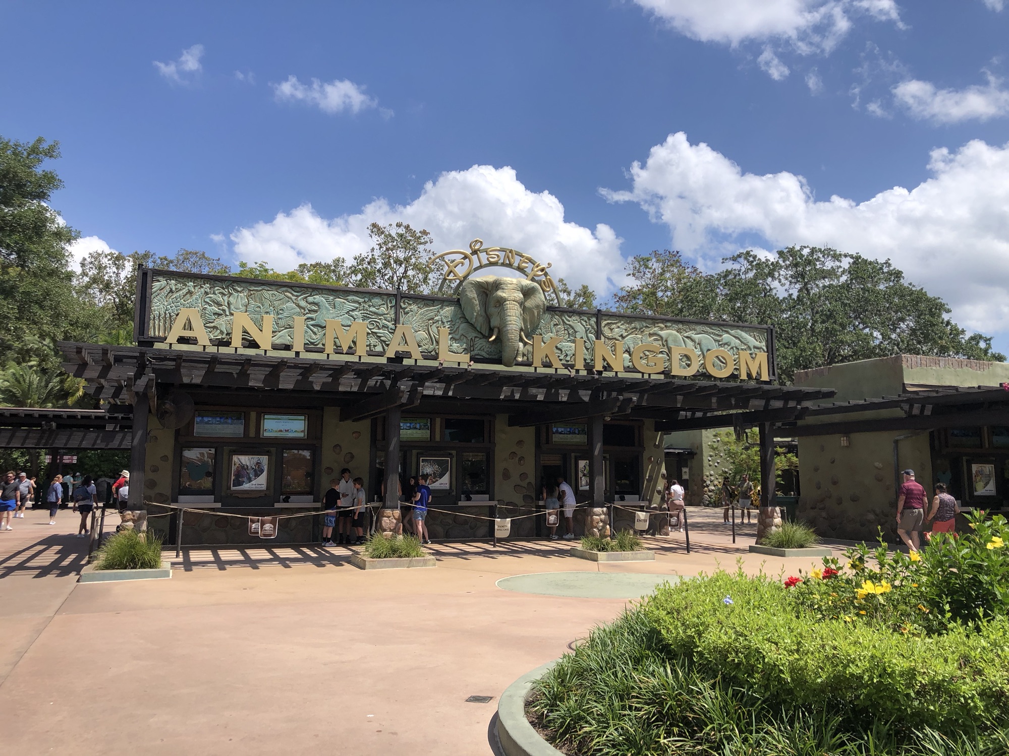 animal kingdom.